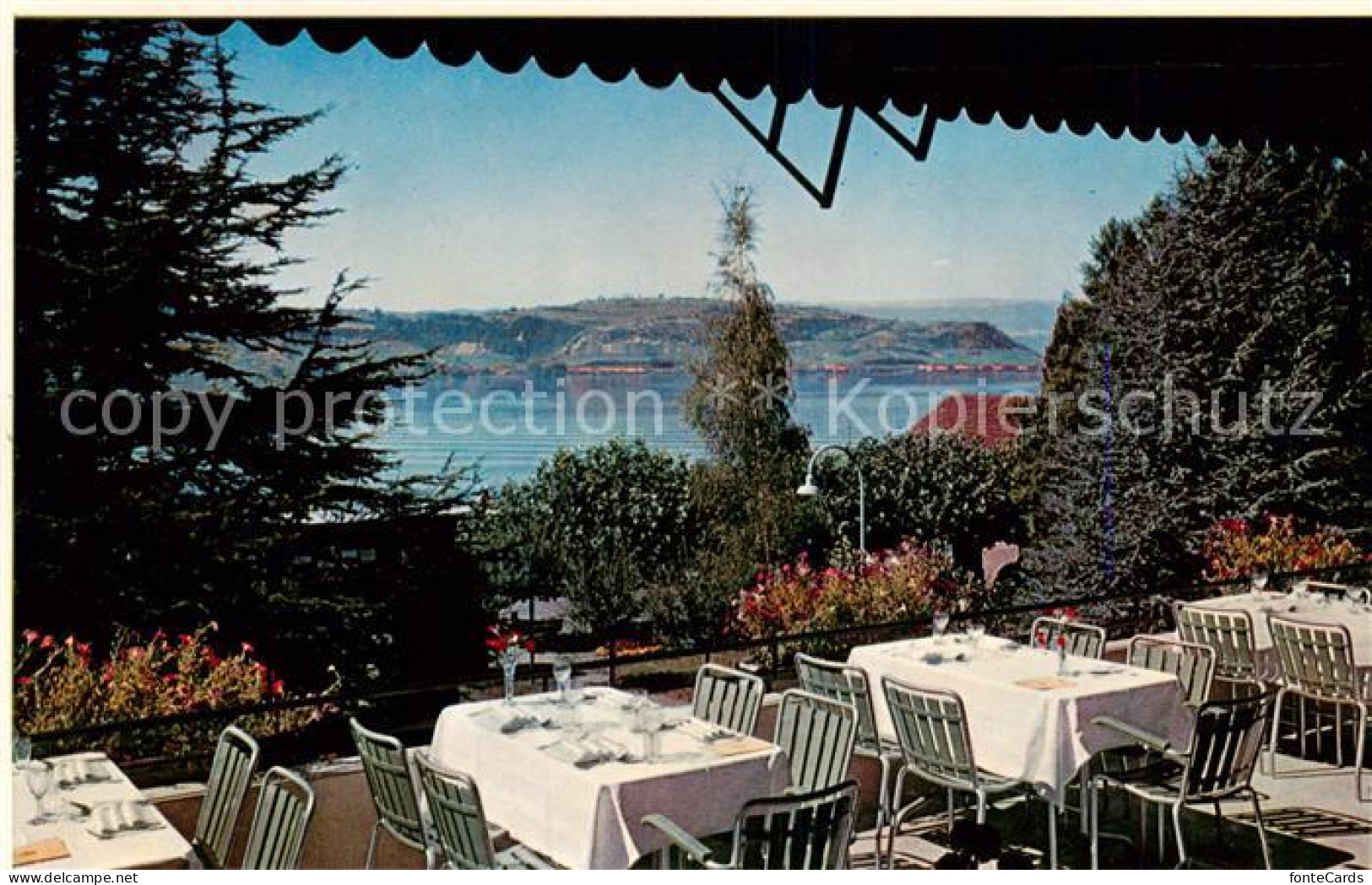 13802305 Murten Morat FR Hotel Du Bateau Terrasse  - Autres & Non Classés