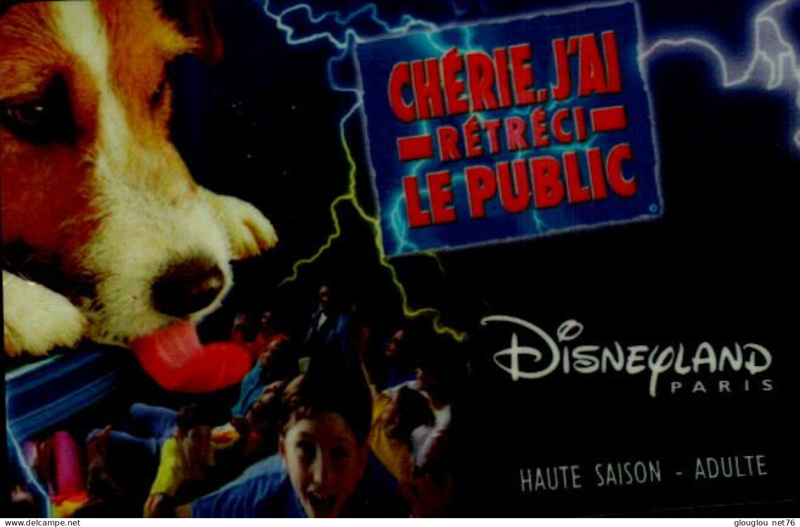 PASSEPORT DISNEY..   HAUTE SAISON  ADULTE... - Toegangsticket Disney