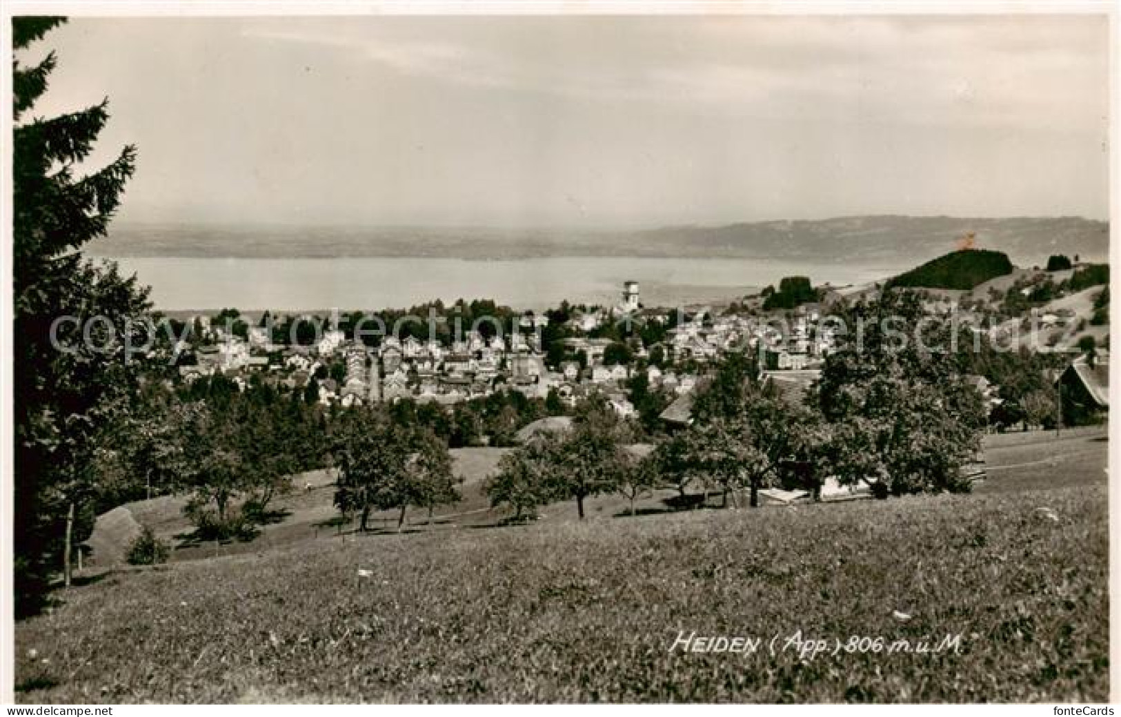 13795635 Heiden AR Panorama Kurort Bodensee Heiden AR - Autres & Non Classés