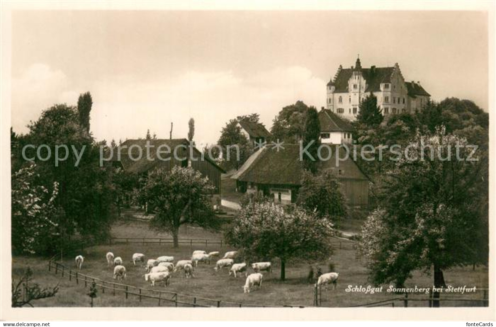 13769875 Stettfurt Schlossgut Sonnenberg Stettfurt - Autres & Non Classés