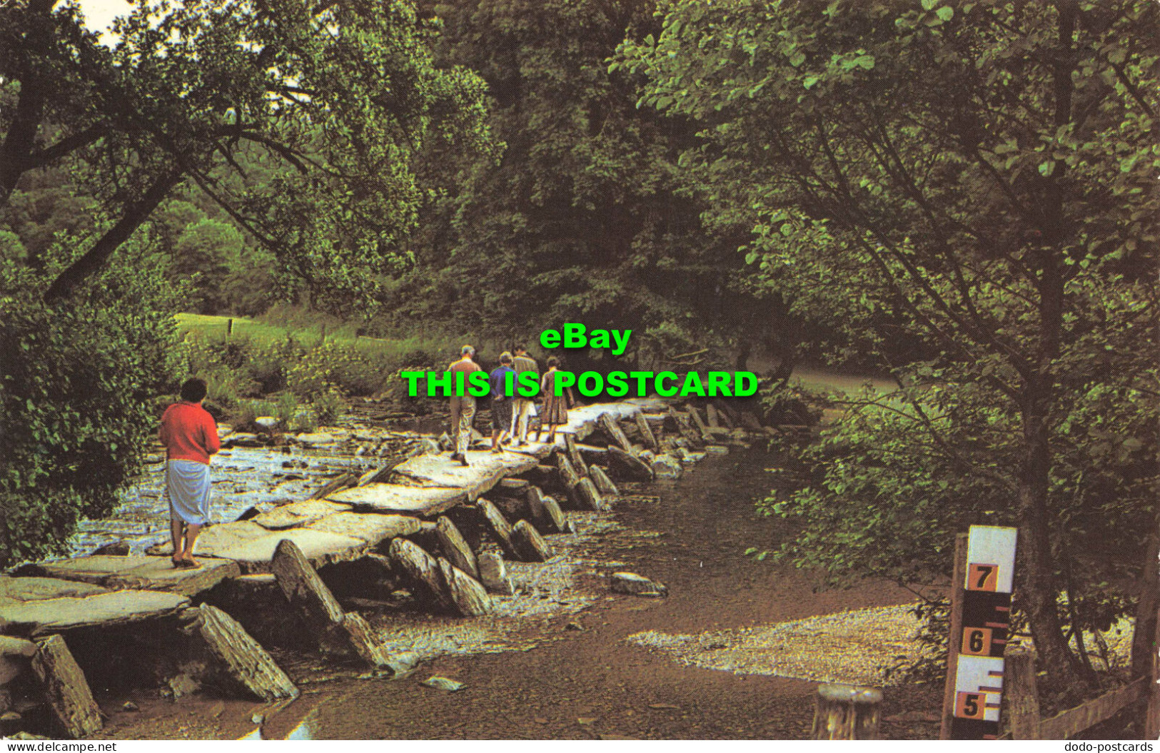 R567865 Tarr Steps. Exmoor. PT6502. 1972 - World