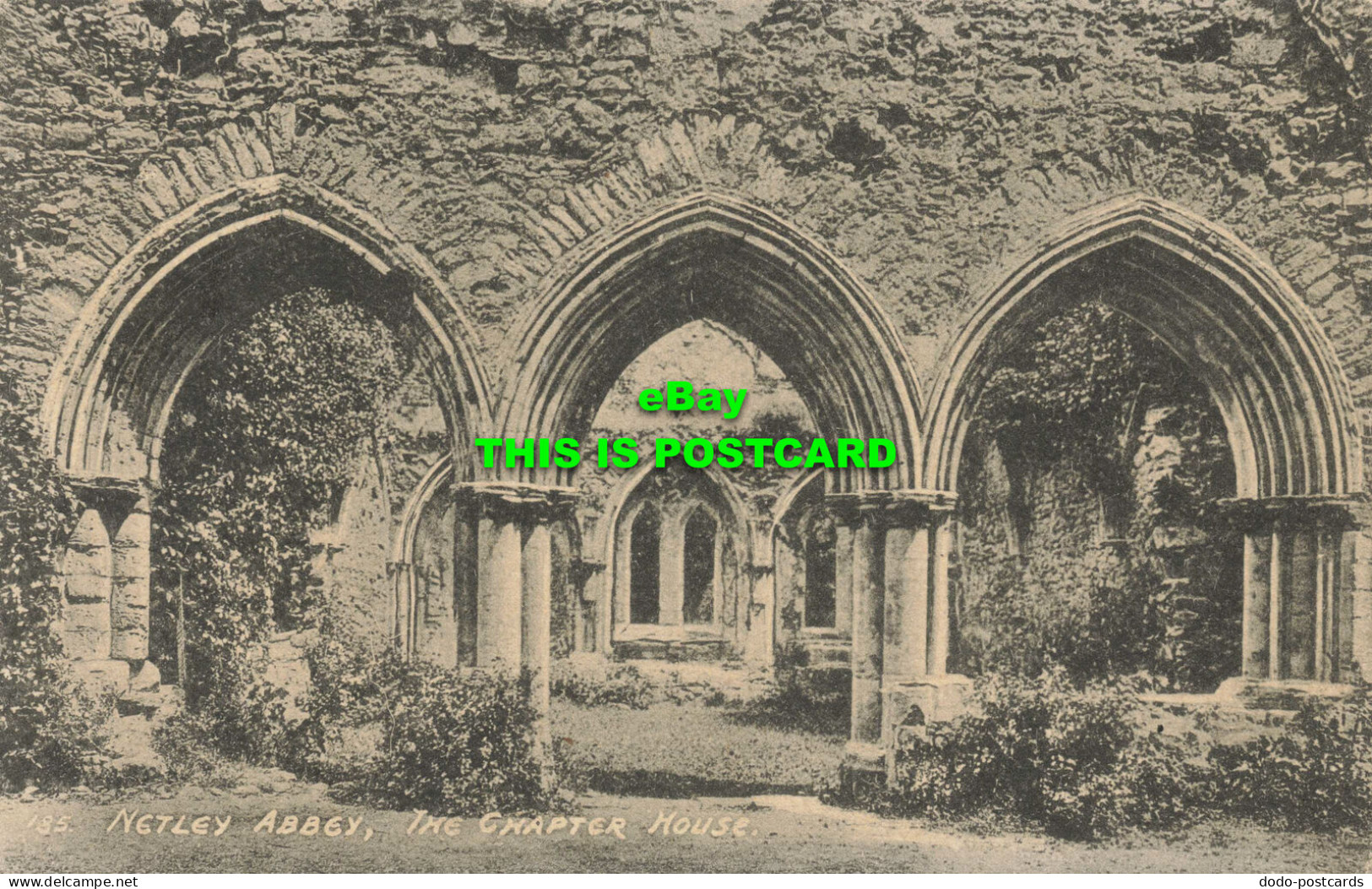 R567497 185. Netley Abbey. Chapter House. F. G. O. Stuart. Southampton. 1921 - World
