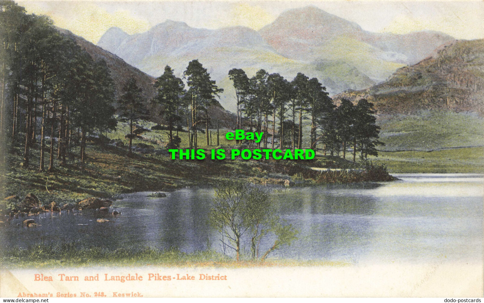 R568249 Blea Tarn And Langdale Pikes. Lake District. Abrahams Series No. 243 - World