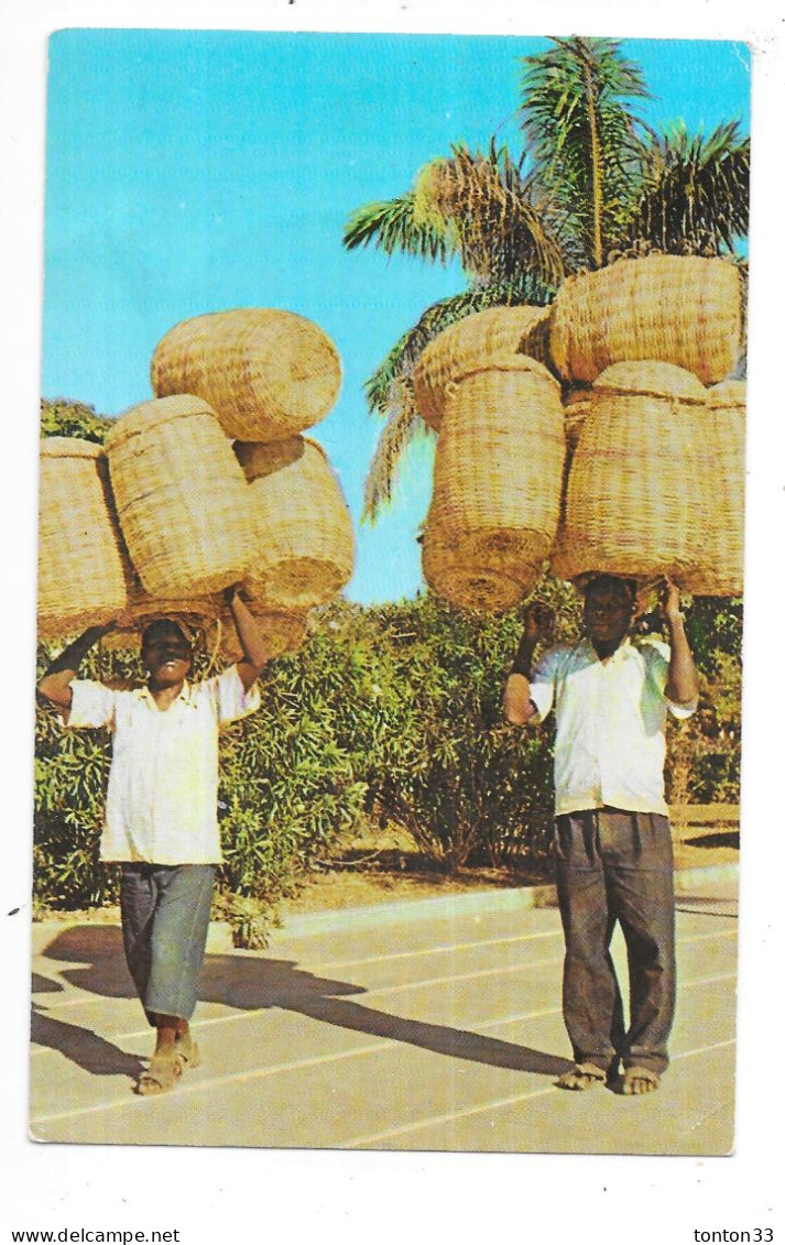 KENSKOFF - HAITI - Baskets Seller - TOUL 7 - - Haití