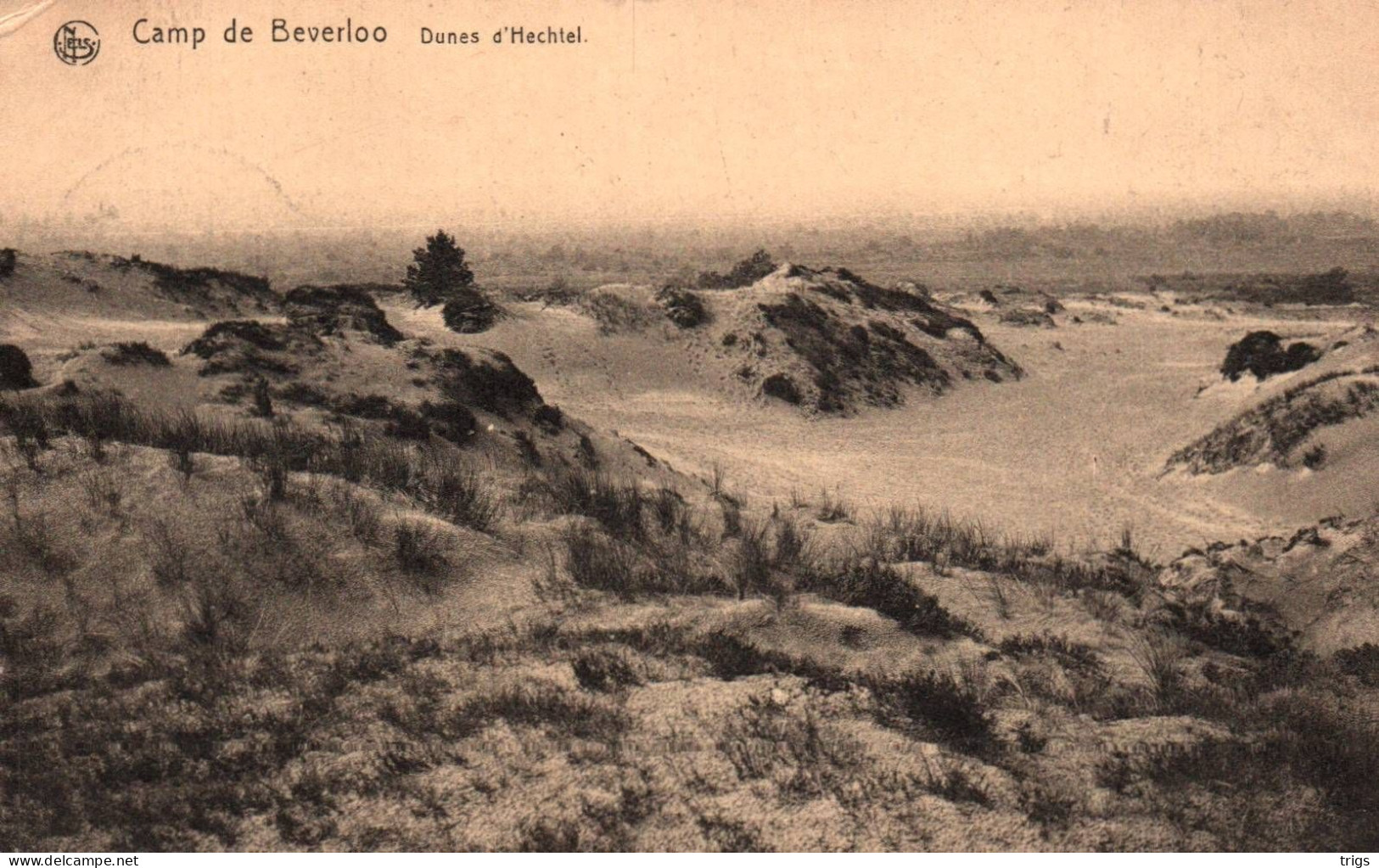 Camp De Beverloo - Dunes D'Hechtel - Leopoldsburg (Kamp Van Beverloo)