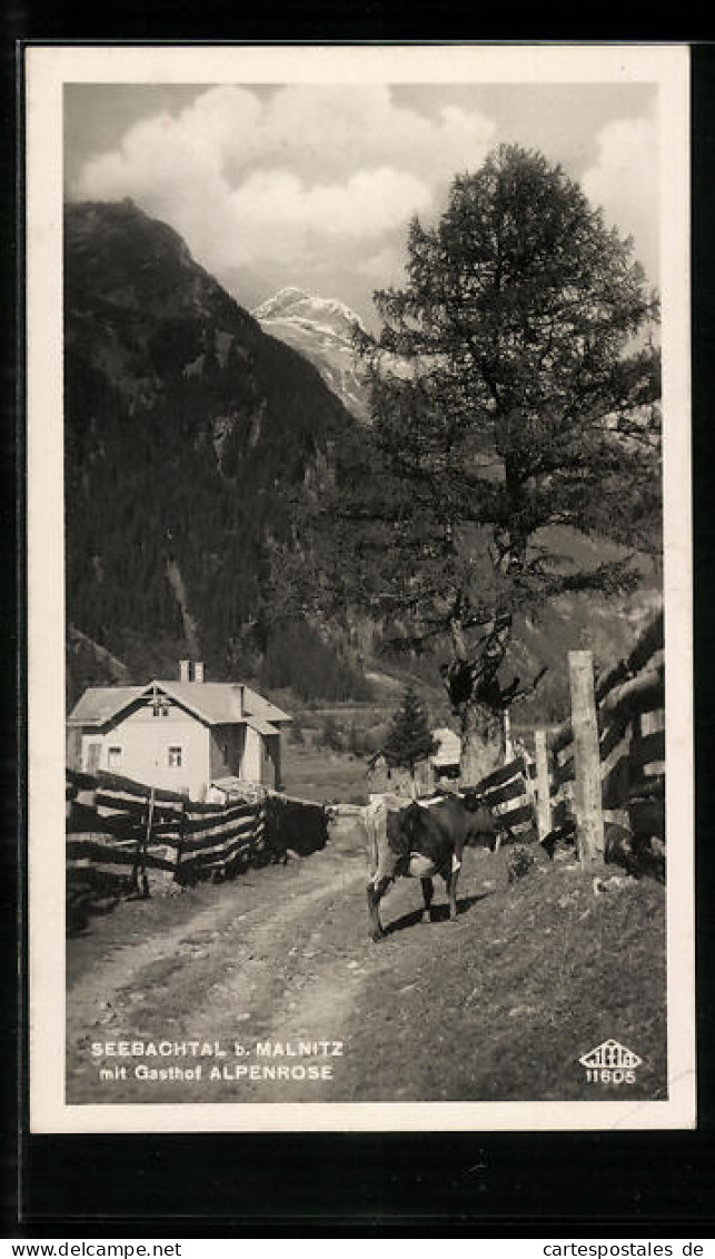 AK Mallnitz, Gasthof Alpenrose Im Seebachtal  - Autres & Non Classés