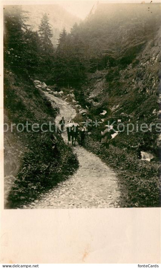 13727005 Alpstein GR Bergmotiv  - Sonstige & Ohne Zuordnung