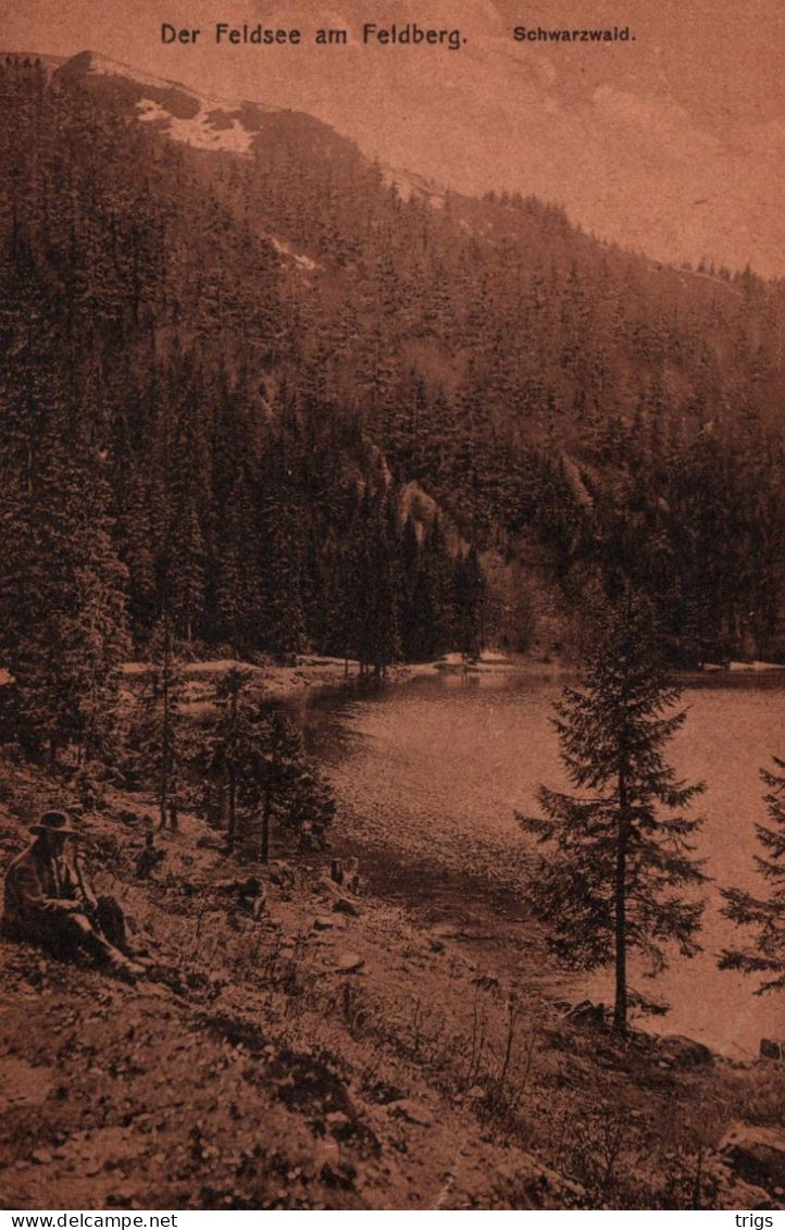 Der Feldsee Am Feldberg (Schwarzwald) - Feldberg