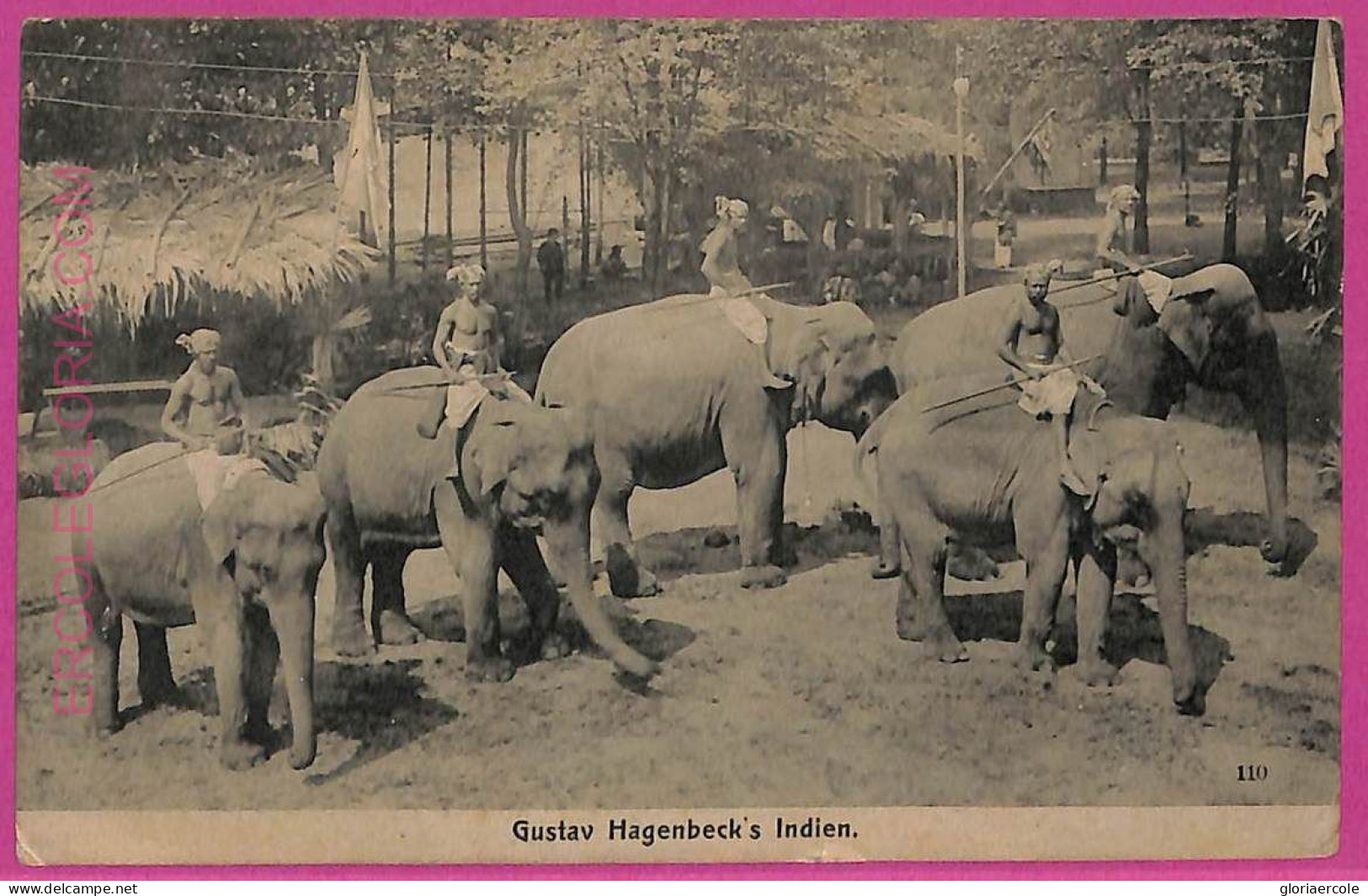 Ag3729  - INDIA - VINTAGE POSTCARD - ETHNIC, Gustav Hagenbeck's Indien - India