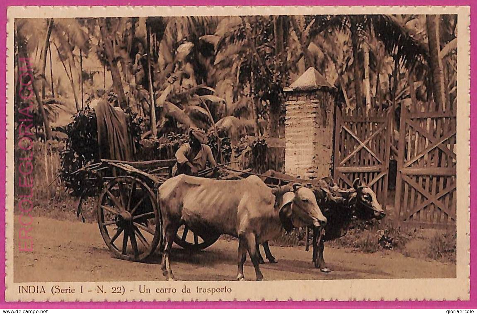 Ag3731  - INDIA - VINTAGE POSTCARD - ETHNIC, Transport - Inde