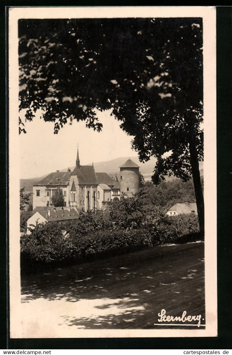 AK Sternberg, Ortspartie Mit Schloss Und Baum  - Tchéquie