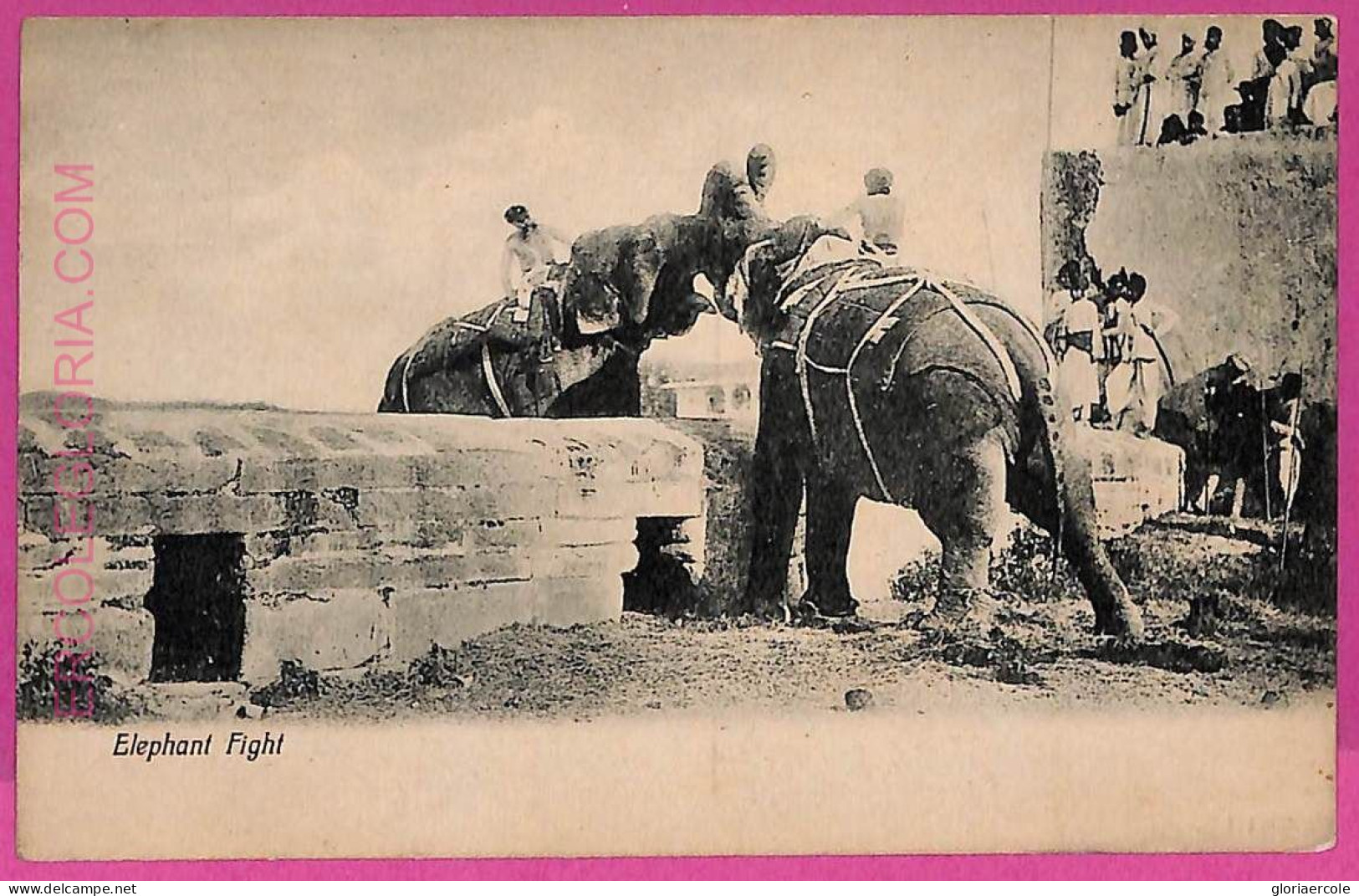 Ag3740  - INDIA - VINTAGE POSTCARD - Elephant Fight, Ethnic - Inde