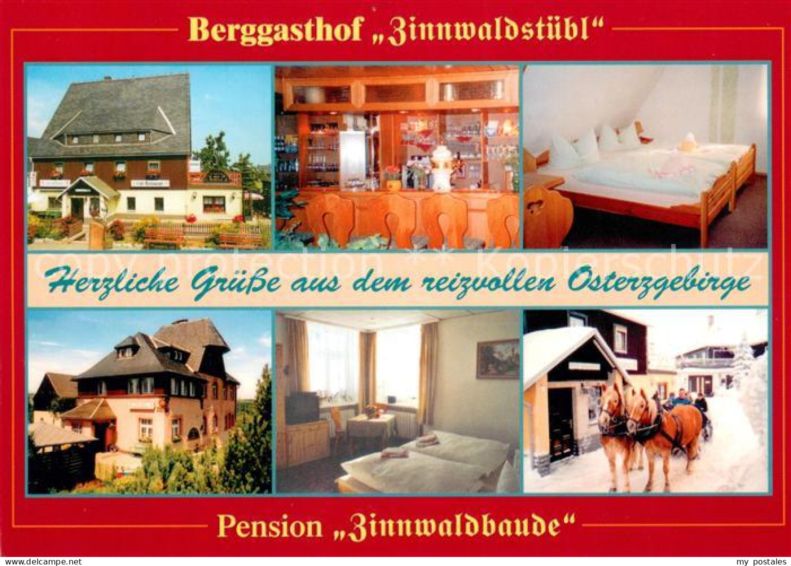 73660053 Zinnwald-Georgenfeld Berggasthof Pension Zinnwaldstuebl Pferdeschlitten - Altenberg