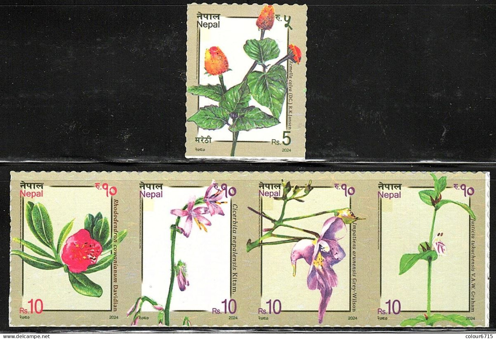 Nepal 2024 Flora/Flowers Stamps 5v MNH - Népal