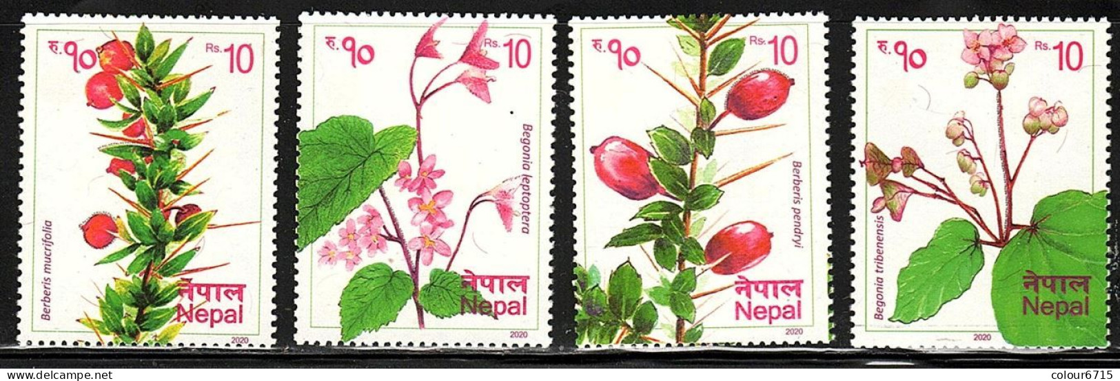 Nepal 2020 Flora Of Nepal Stamps 4v MNH - Népal