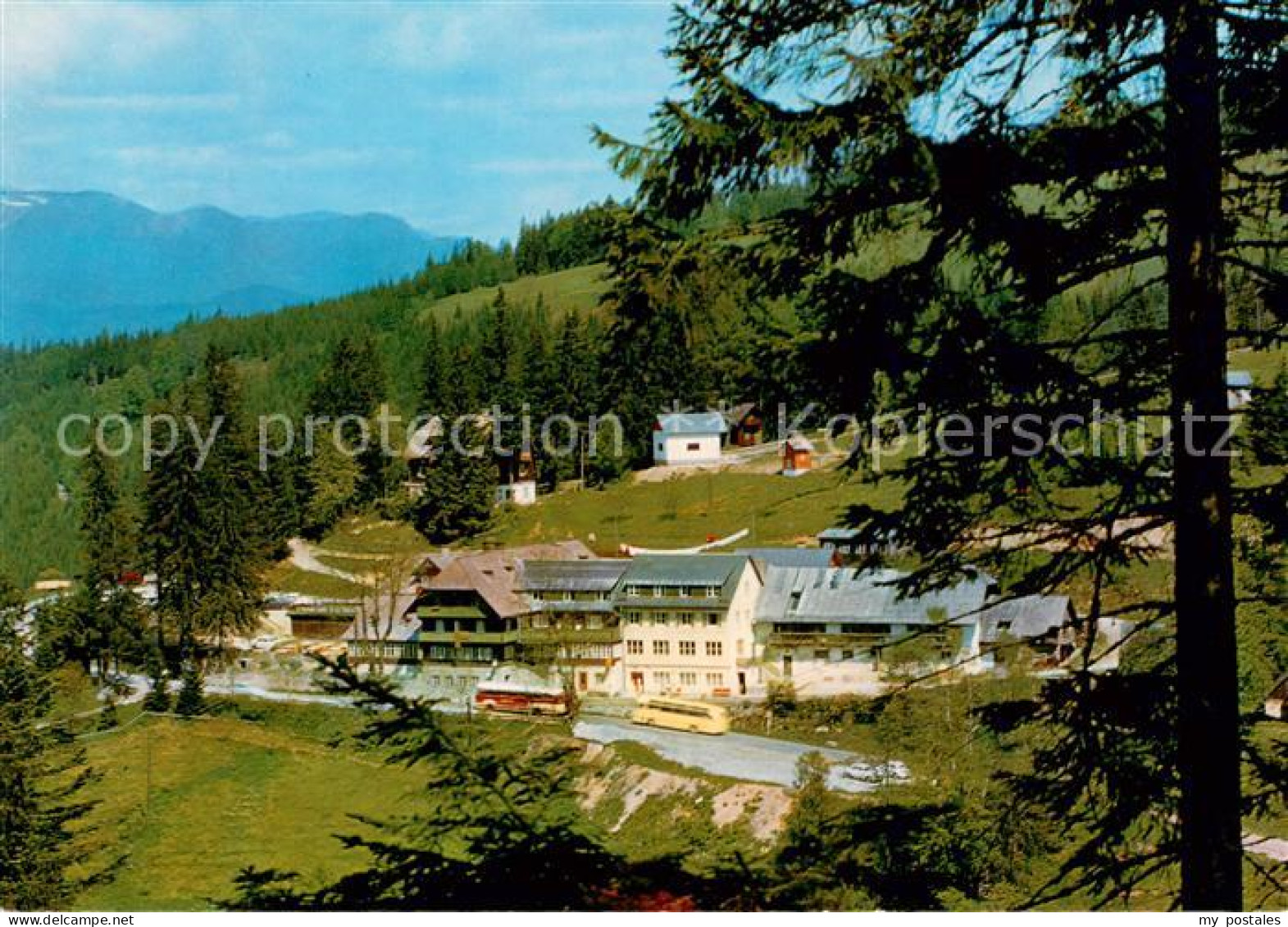73657254 Alpl Alpengasthof Bruggraber Waldheimathof Alpl - Autres & Non Classés