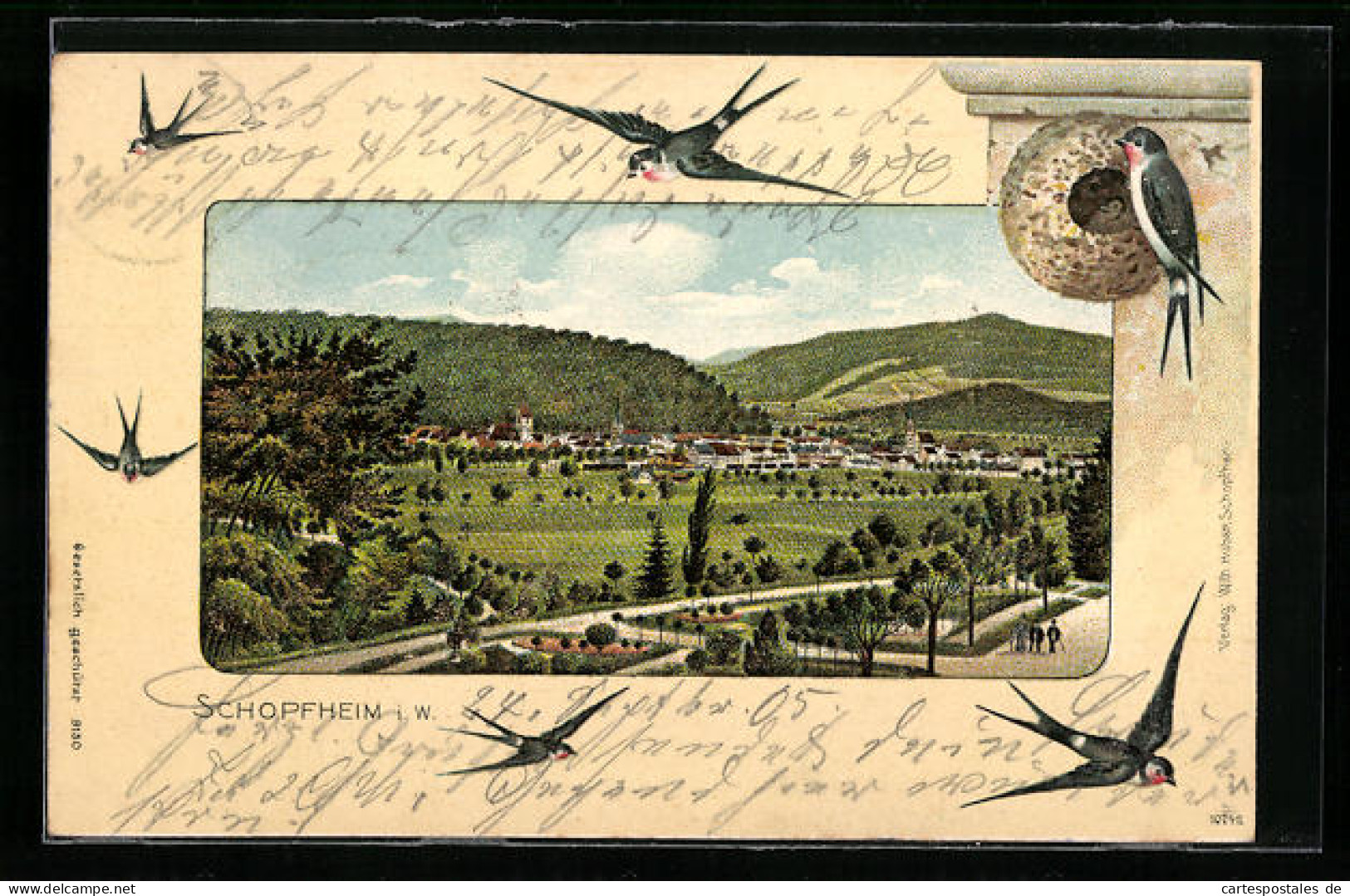 Lithographie Schopfheim I. W., Gesamtansicht Aus Der Vogelschau, Schwalben  - Schopfheim
