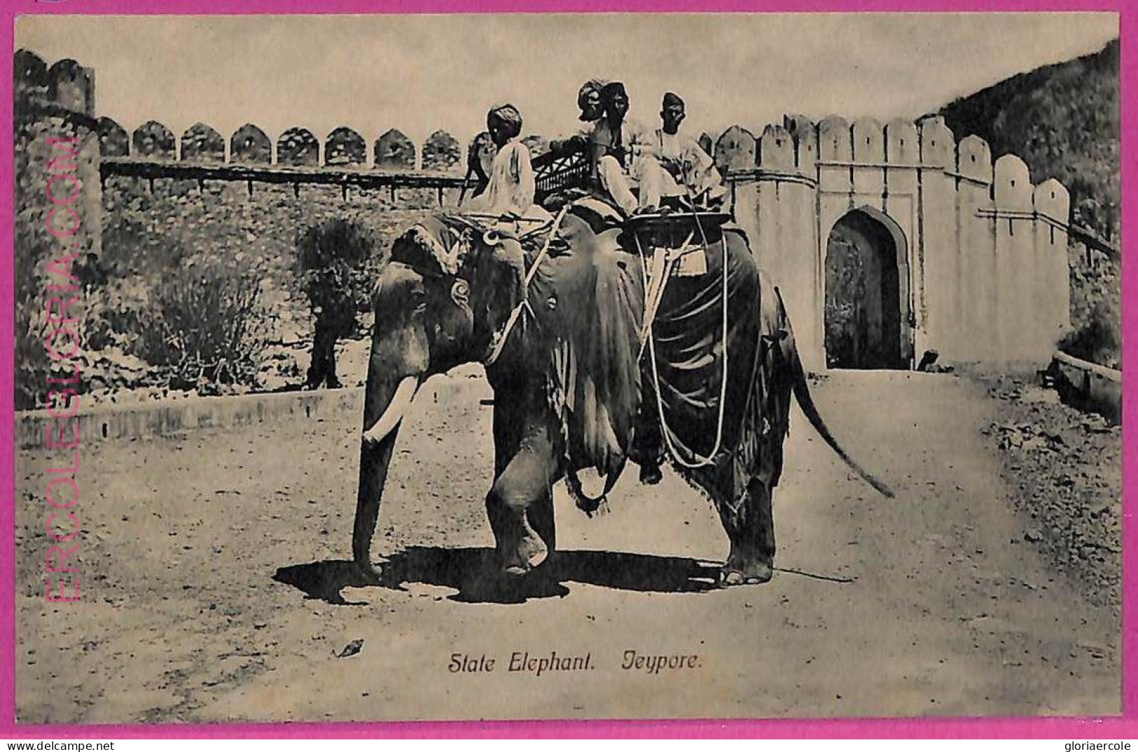 Ag3768  - INDIA - VINTAGE POSTCARD  - Jeypore, State Elephant - India