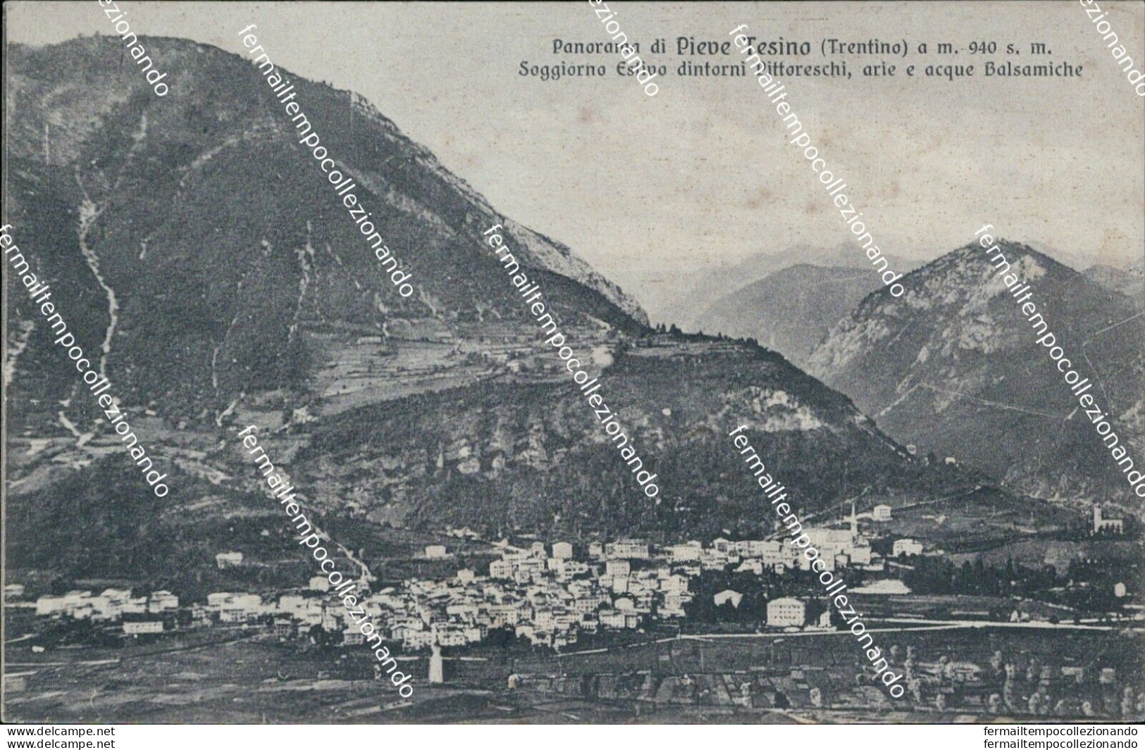 Be363 Cartolina Panorama Di Pieve Di Tesino Provincia Di Trento - Trento
