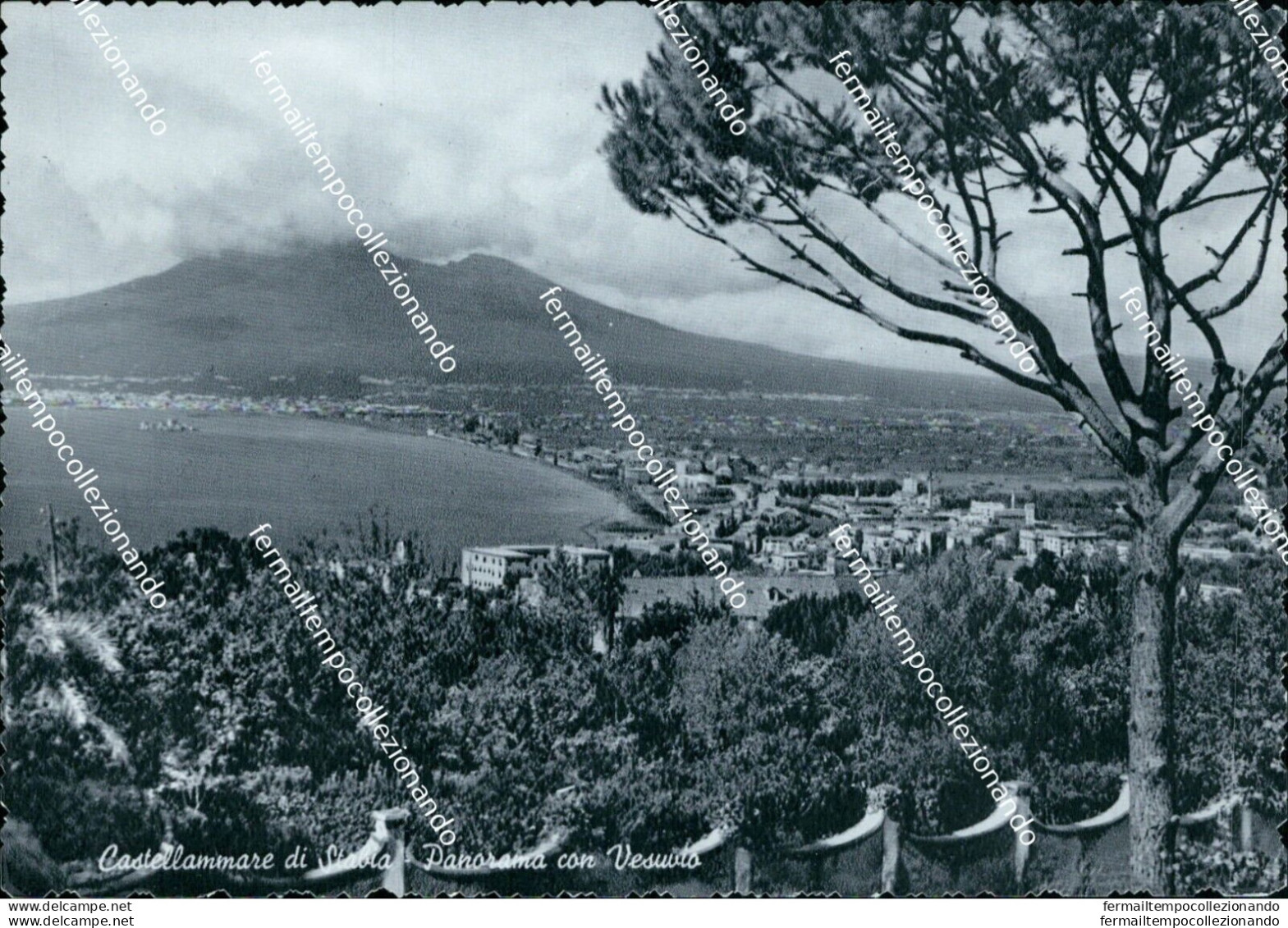 N795 Cartolina Castellammare Di Stabia Panorama Con Vesuvio Napoli - Napoli (Neapel)