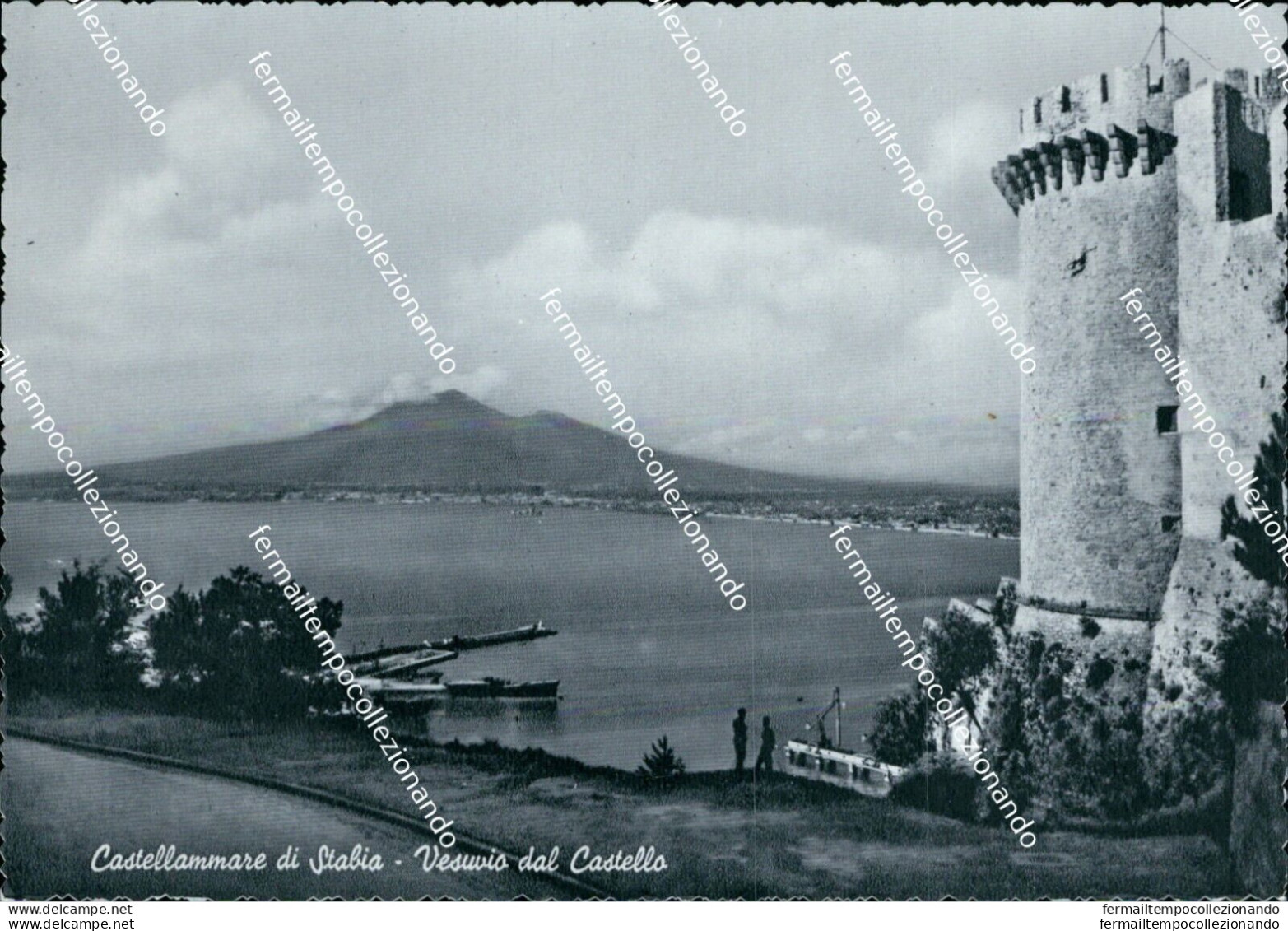 N799 Cartolina Castellammare Di Stabia  Vesuvio Dal Castello Napoli - Napoli (Neapel)
