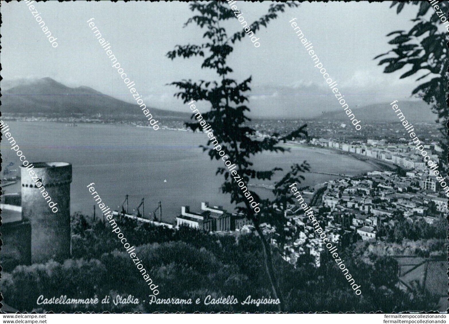 N800 Cartolina Castellammare Di Stabia  Panorama E Castello Napoli - Napoli