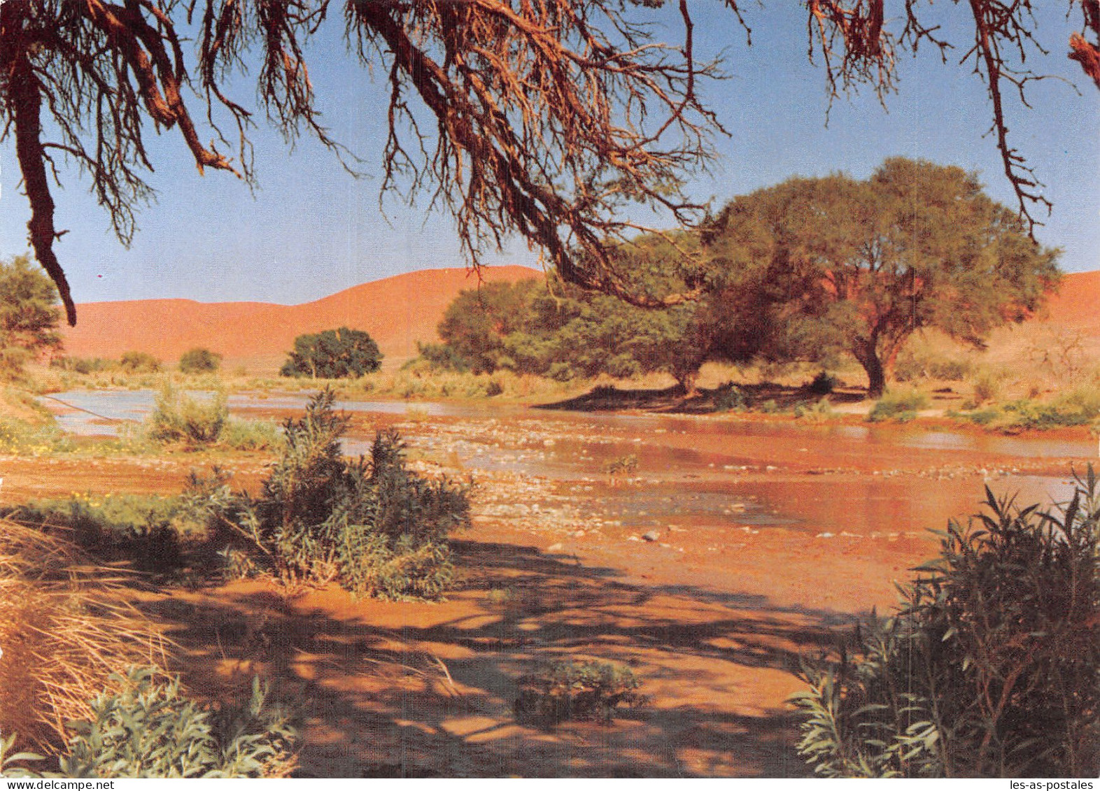 NAMIBIA LA RIVIERE - Namibie