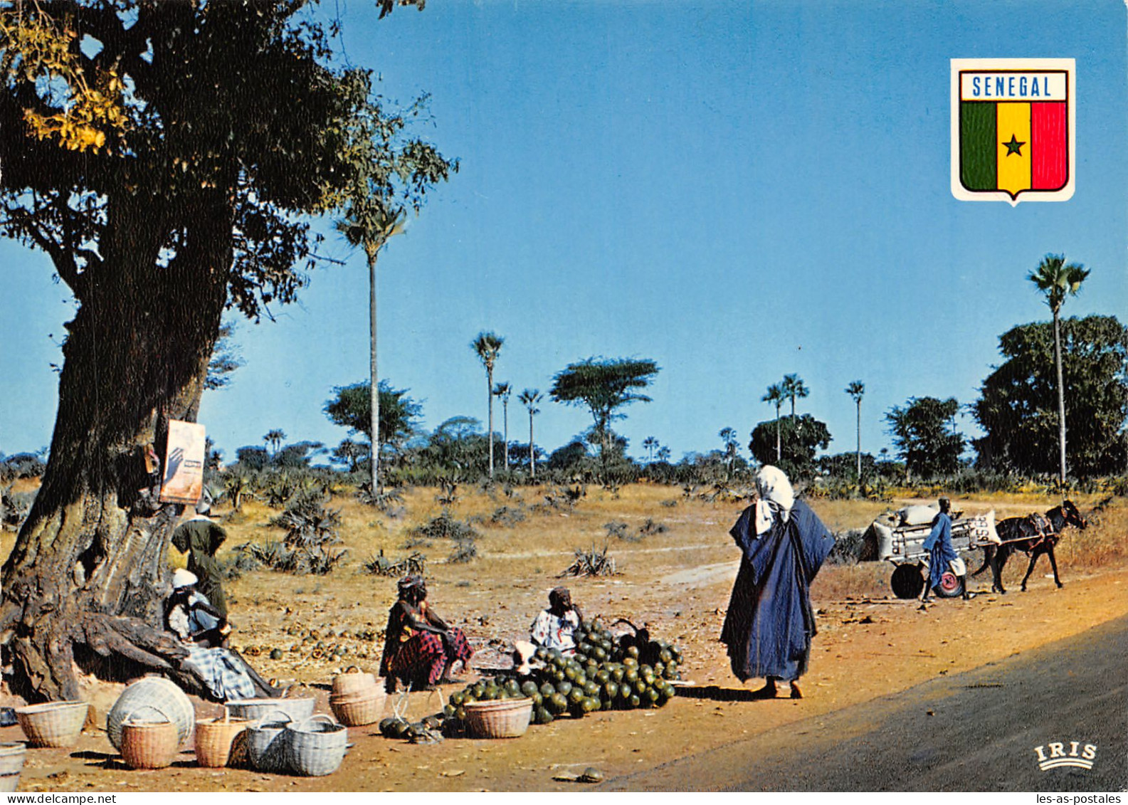 SENEGAL - Sénégal