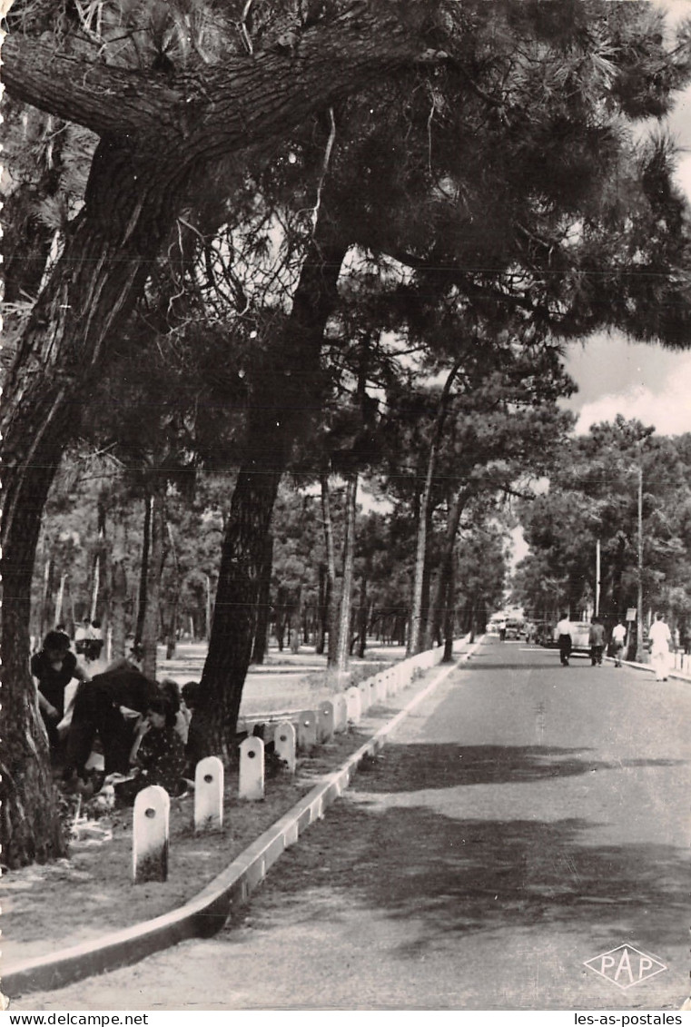 66 ARGELES SUR MER LA PINEDE - Argeles Sur Mer