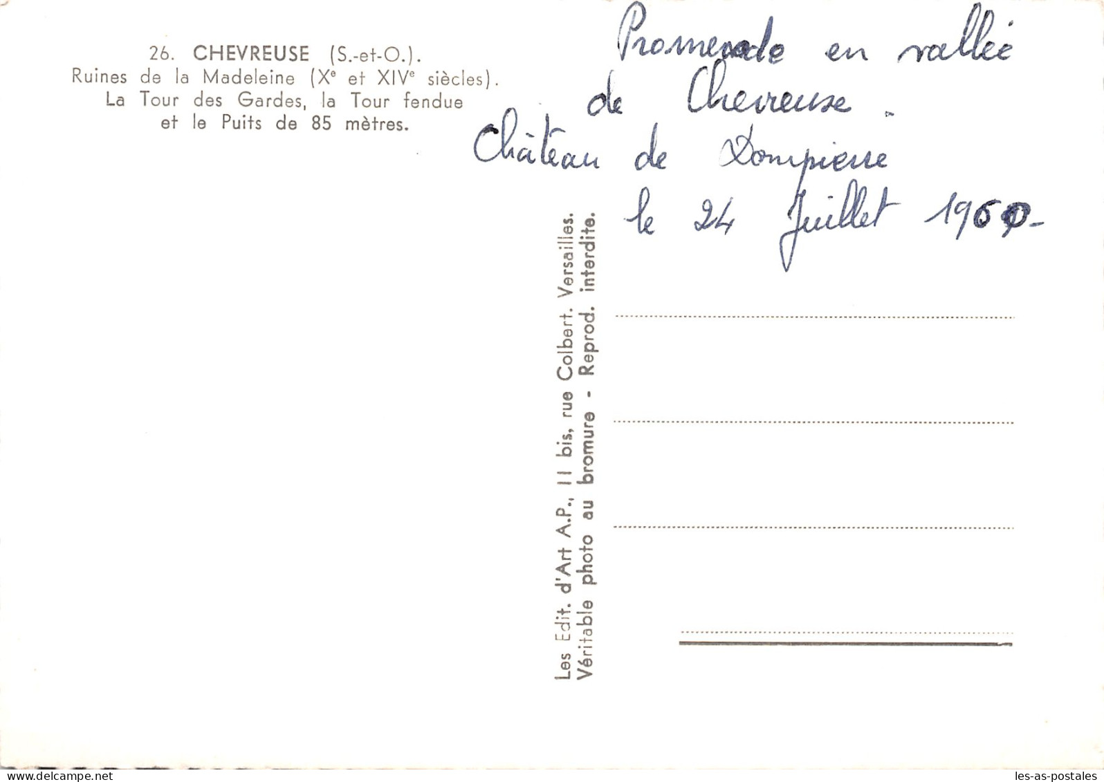 78 CHEVREUSE RUINES DE LA MADELEINE - Chevreuse