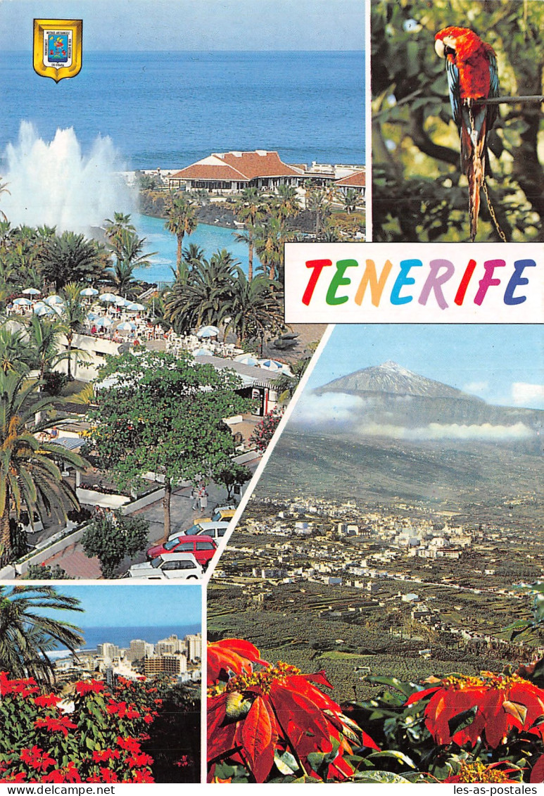 ESPAGNE TENERIFE - Tenerife