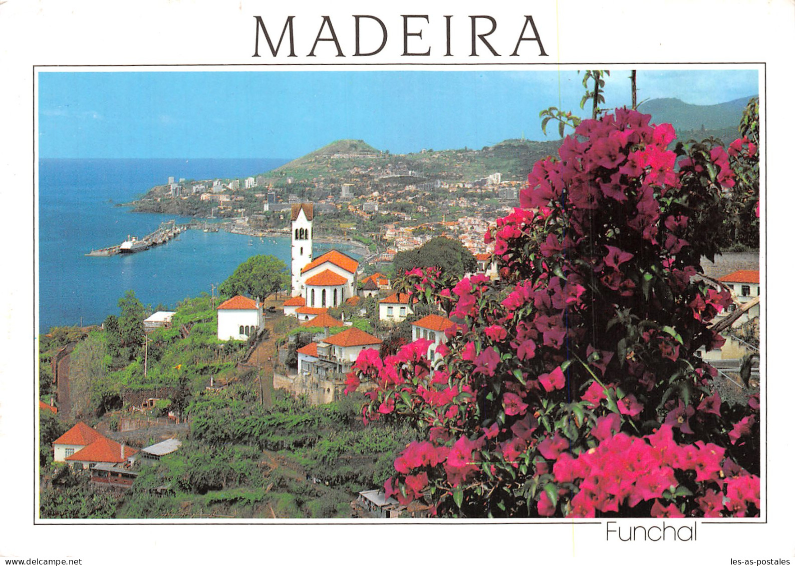 PORTUGAL FUNCHAL MADEIRA - Madeira