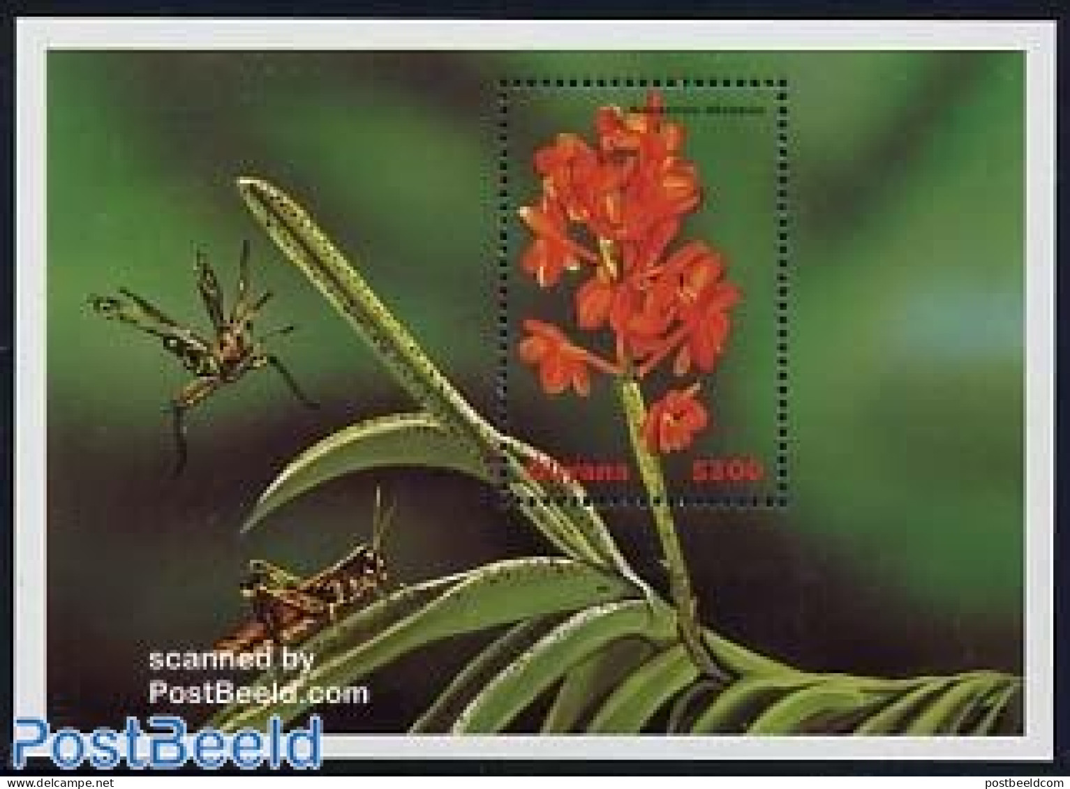 Guyana 1999 Asocentrum Miniatum S/s, Mint NH, Nature - Flowers & Plants - Guyane (1966-...)