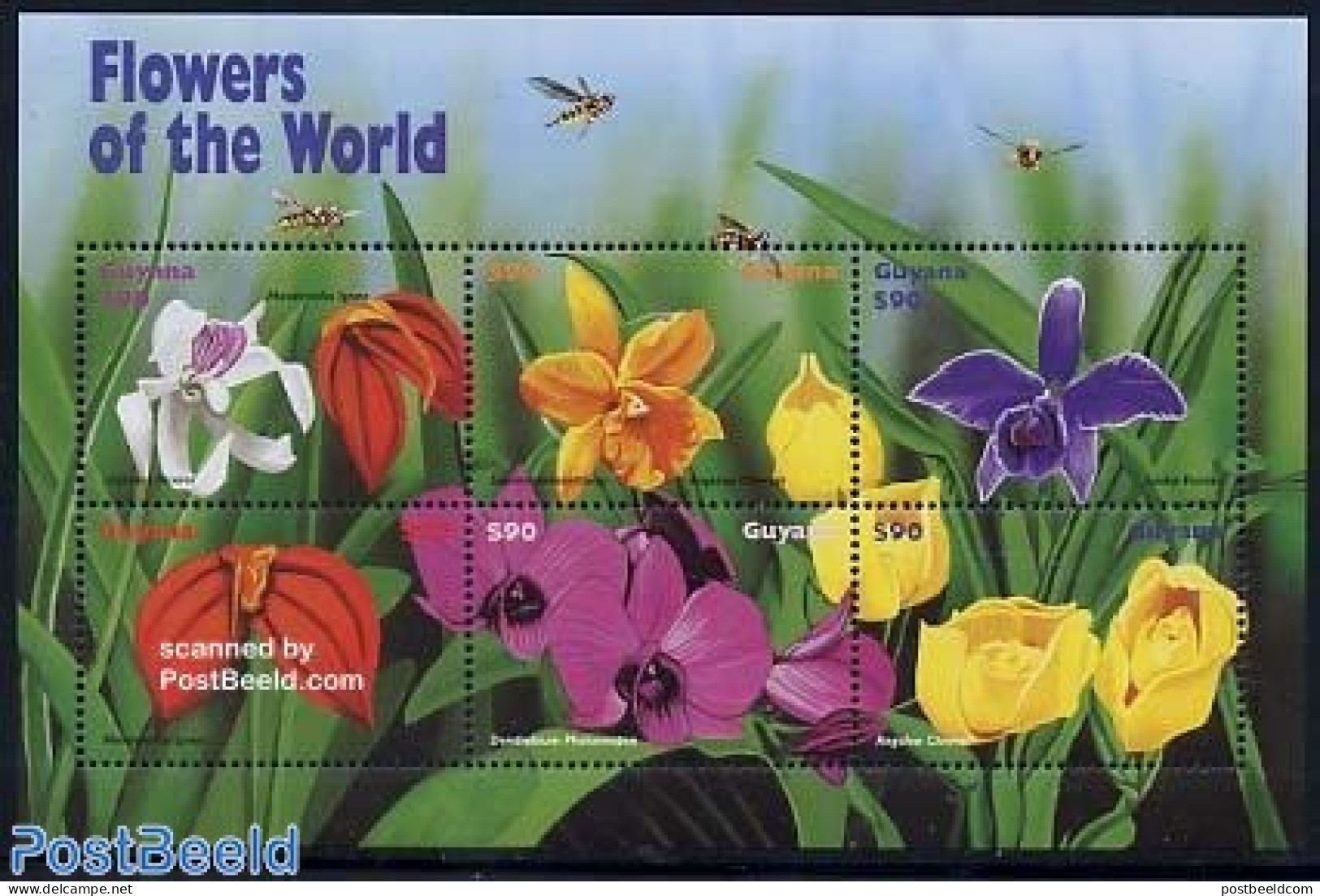 Guyana 1999 Flowers 6v M/s, Mint NH, Nature - Flowers & Plants - Insects - Guyane (1966-...)