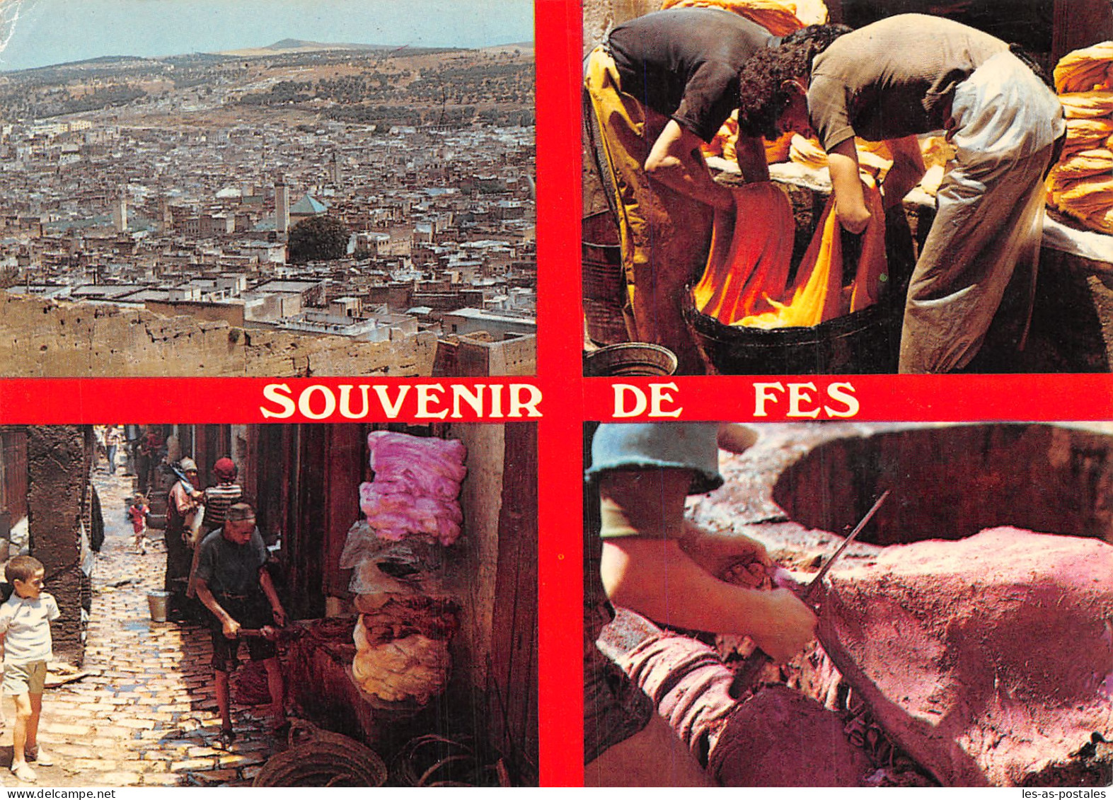 MAROC FES - Fez