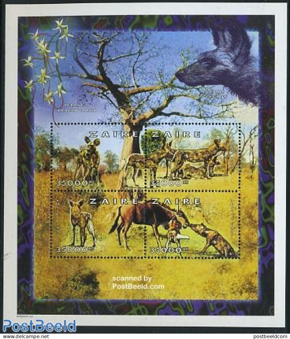 Congo Dem. Republic, (zaire) 1997 Wild Dogs 4v M/s, Mint NH, Nature - Animals (others & Mixed) - Other & Unclassified