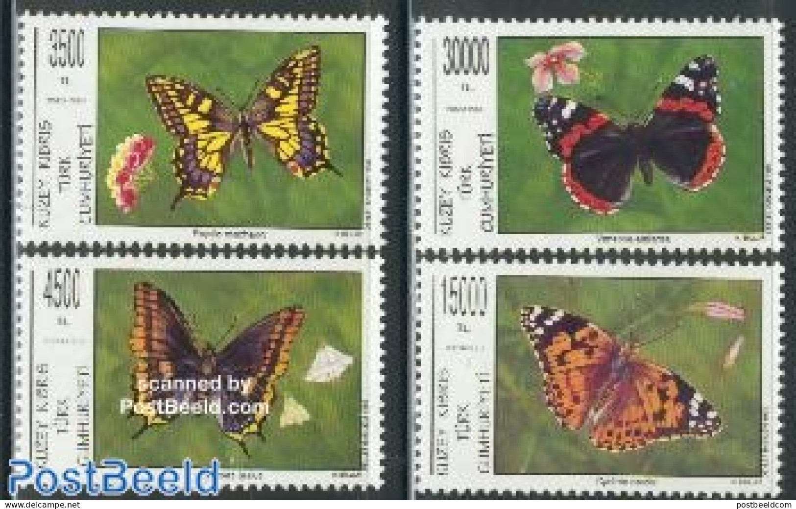 Turkish Cyprus 1995 Butterflies 4v, Mint NH, Nature - Butterflies - Other & Unclassified