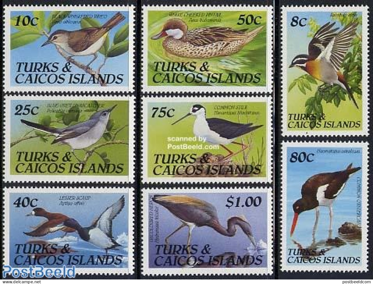 Turks And Caicos Islands 1990 Birds 8v, Mint NH, Nature - Birds - Ducks - Other & Unclassified