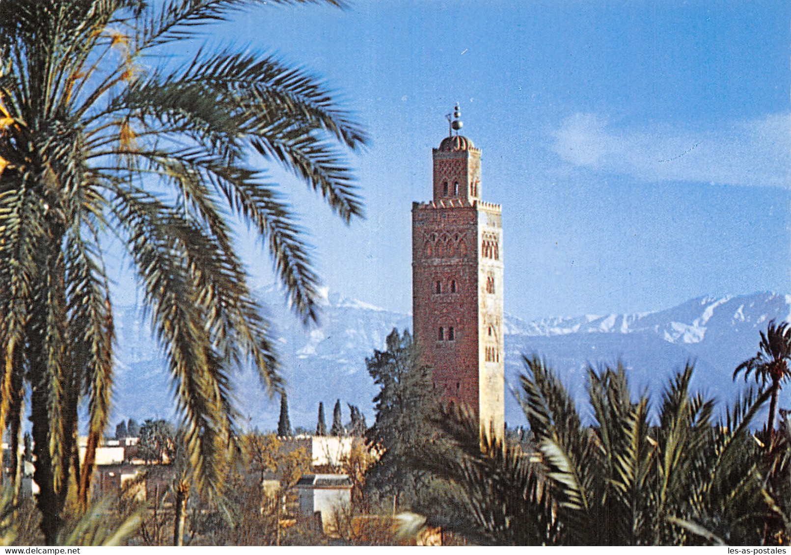 MAROC MARRAKECH KOUTOUBIA - Marrakech
