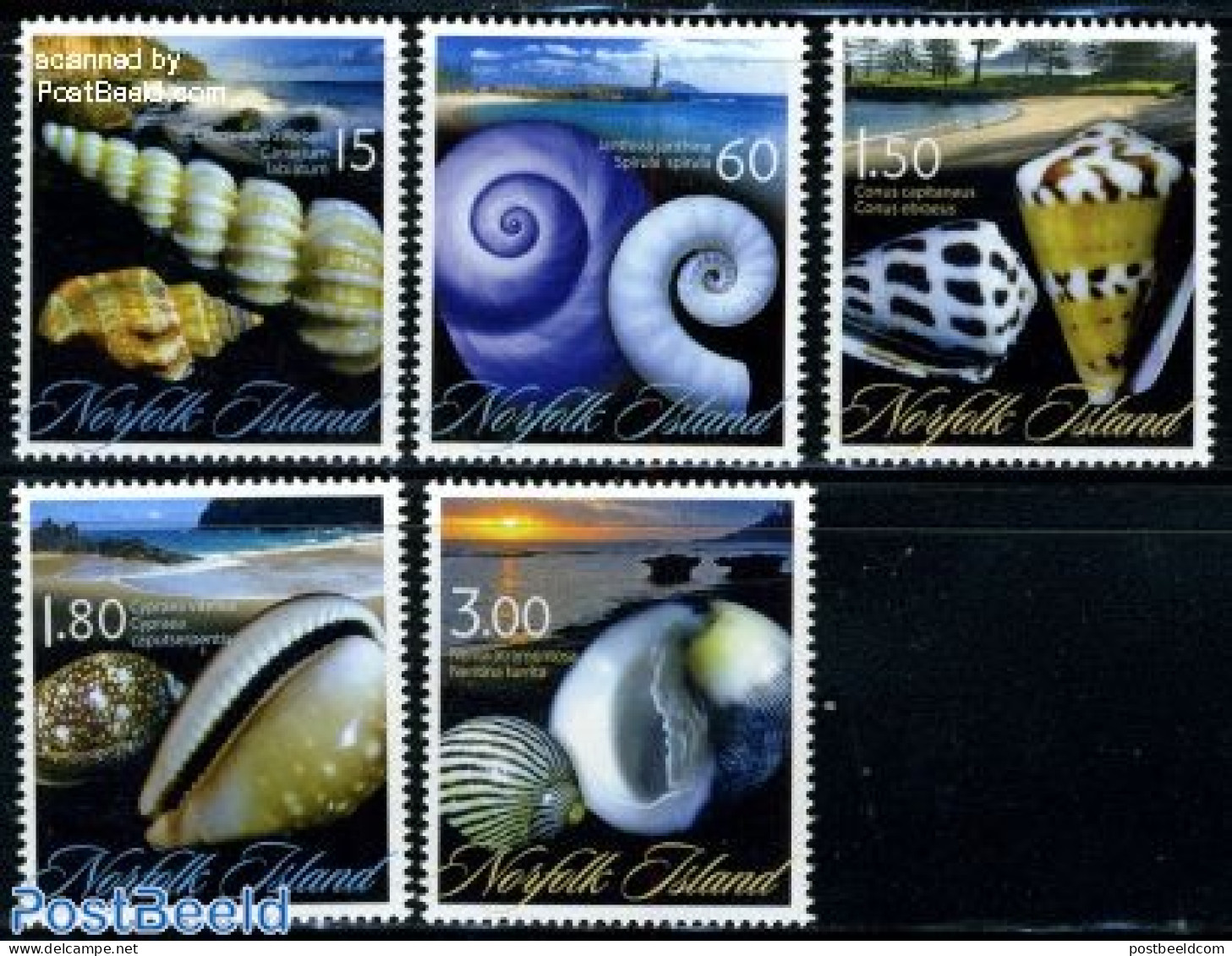 Norfolk Island 2011 Shells 5v, Mint NH, Nature - Shells & Crustaceans - Mundo Aquatico