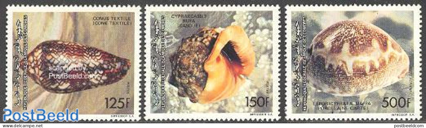 Comoros 1992 Shells 3v, Mint NH, Nature - Shells & Crustaceans - Marine Life