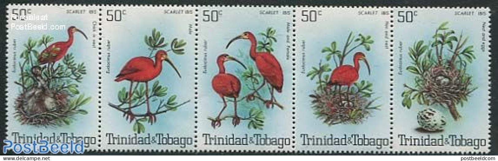 Trinidad & Tobago 1980 Eudocimus Ruber 5v [::::], Mint NH, Nature - Birds - Trinidad & Tobago (1962-...)