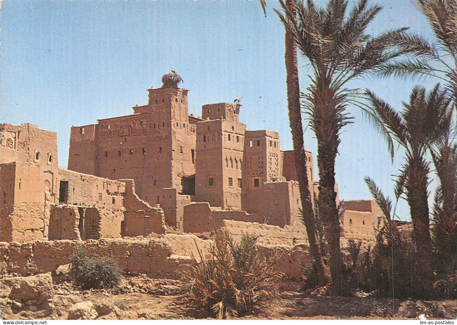 MAROC OUARZAZATE - Autres & Non Classés