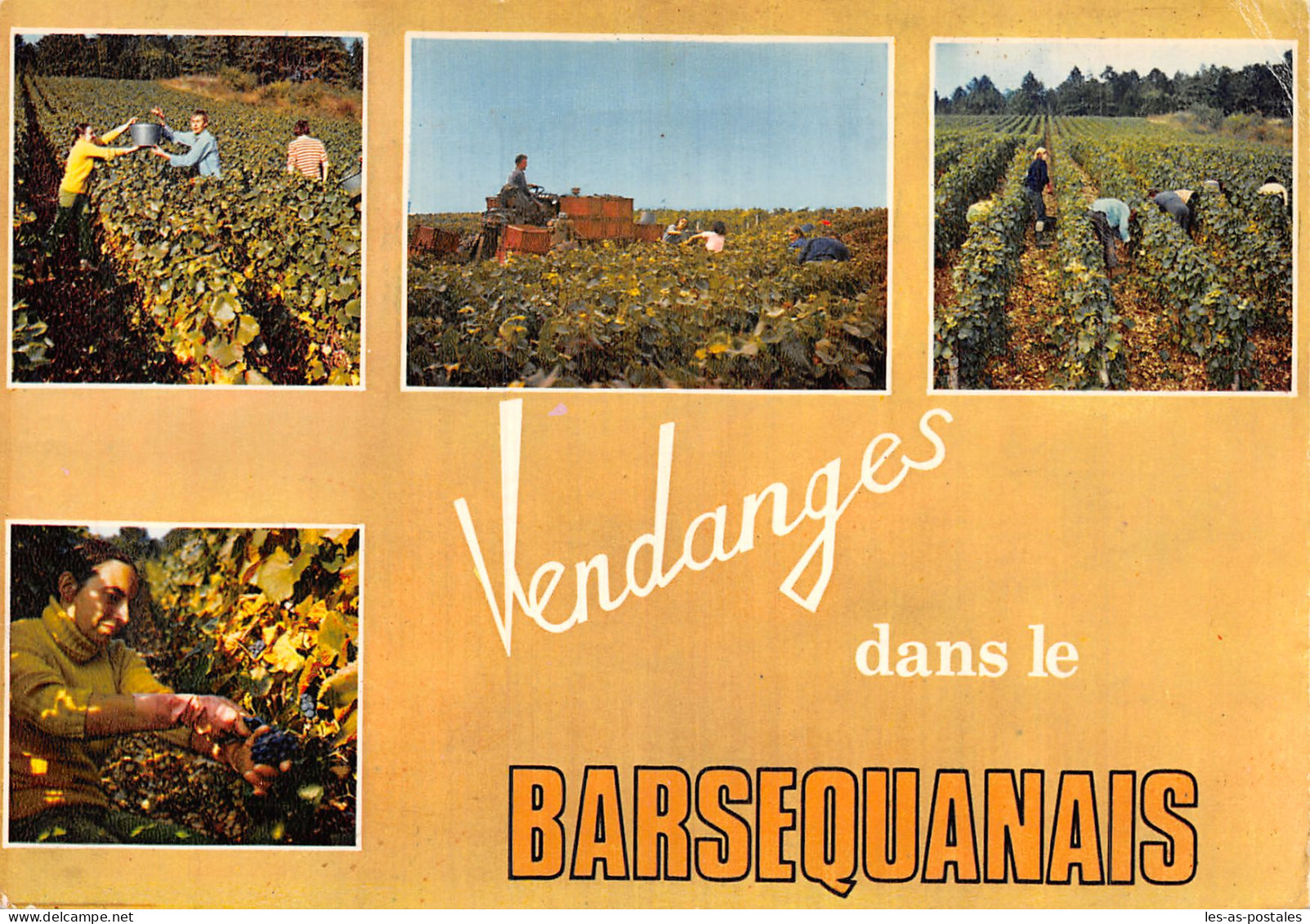 10 BAR SUR SEINE LES VENDANGES - Bar-sur-Seine