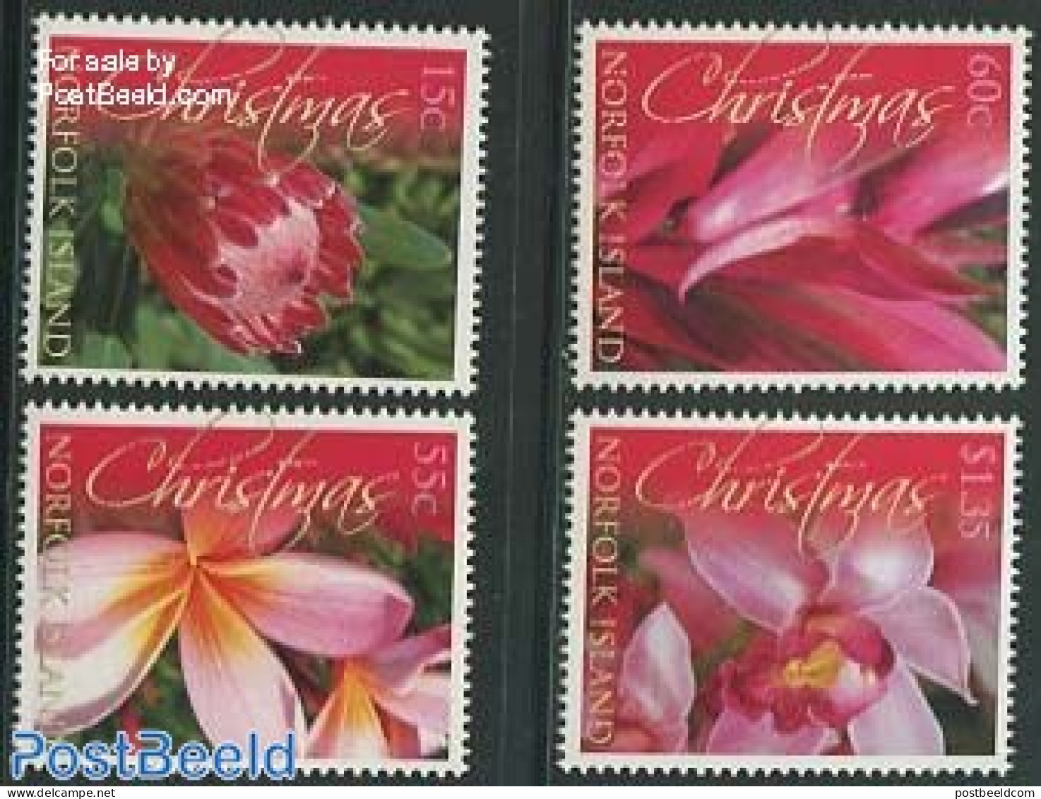 Norfolk Island 2011 Christmas, Flowers 4v, Mint NH, Nature - Religion - Flowers & Plants - Christmas - Christmas