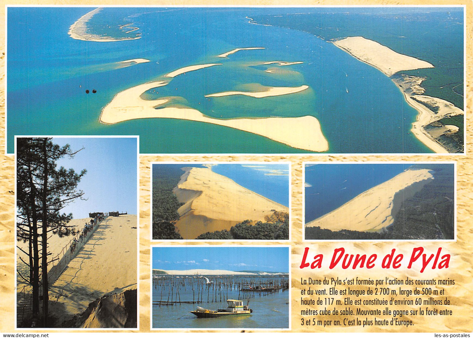 33 LA DUNE DU PYLA - Arcachon