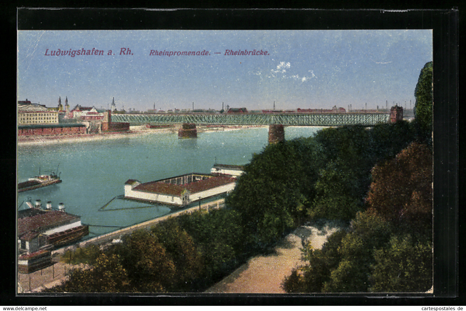 AK Ludwigshafen A. Rh., Rheinpromenade Mit Rheinbrücke  - Ludwigshafen