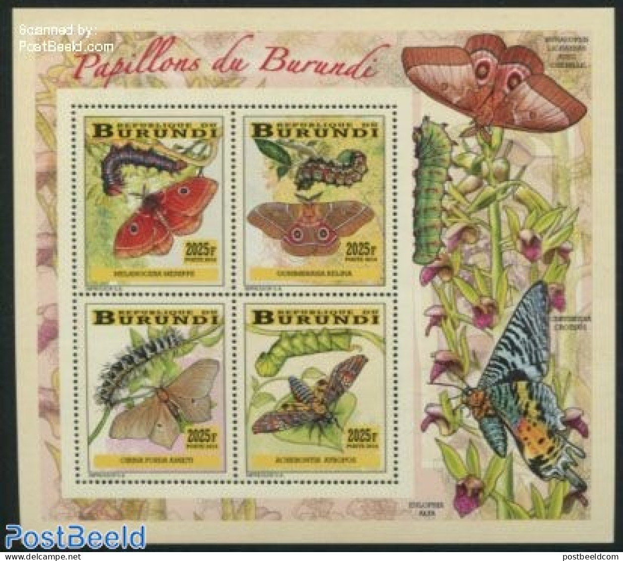 Burundi 2014 Butterflies 4v M/s, Mint NH, Nature - Butterflies - Autres & Non Classés