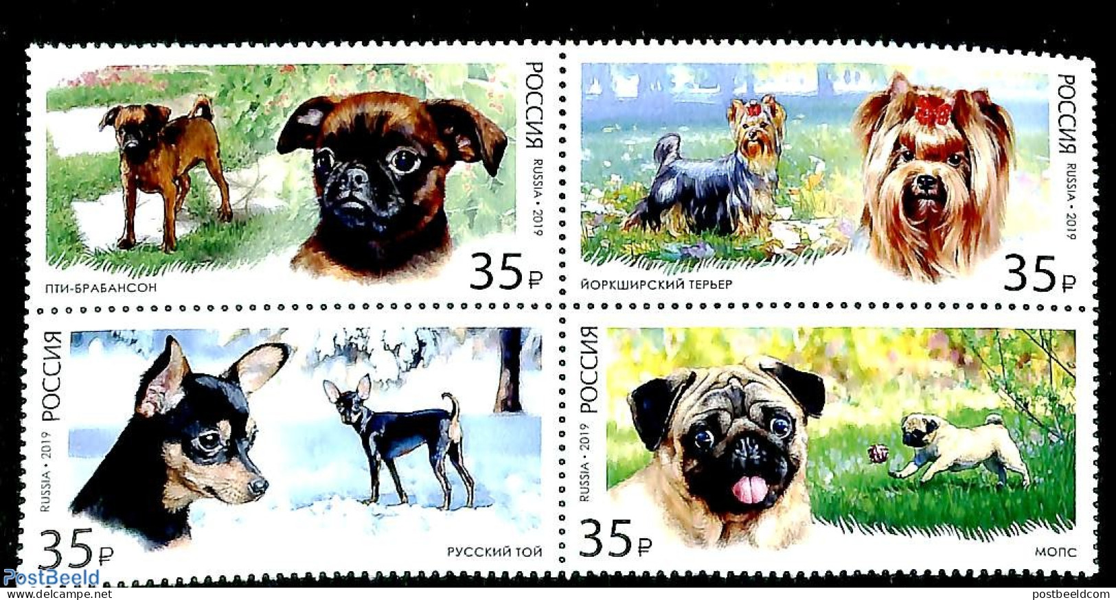 Russia 2019 Dogs 4v [+], Mint NH, Nature - Dogs - Andere & Zonder Classificatie