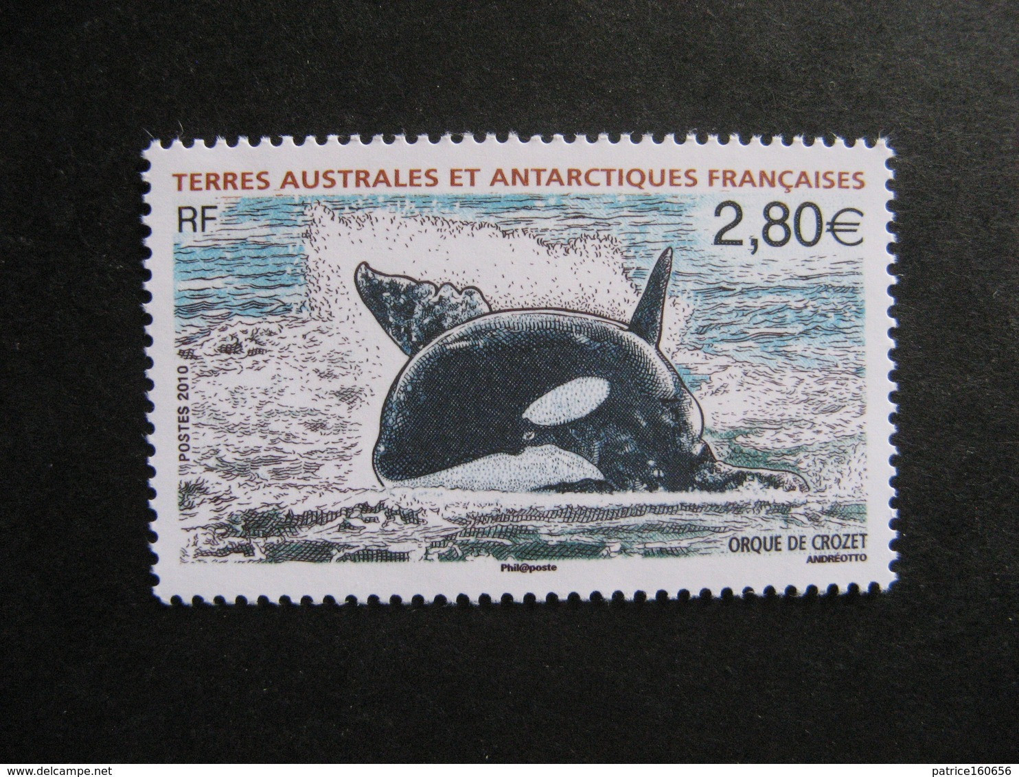 TAAF:  TB N° 552, Neuf XX. - Unused Stamps